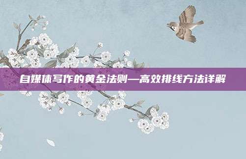 自媒体写作的黄金法则—高效排线方法详解