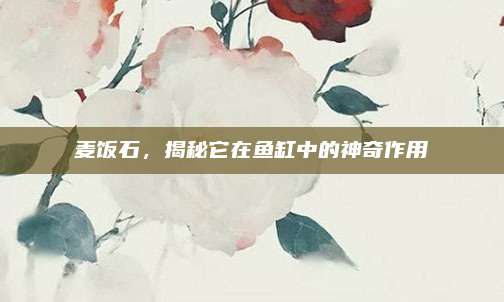 麦饭石，揭秘它在鱼缸中的神奇作用