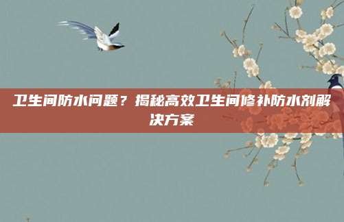 卫生间防水问题？揭秘高效卫生间修补防水剂解决方案