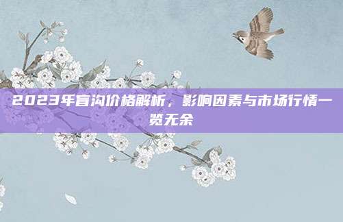 2023年盲沟价格解析，影响因素与市场行情一览无余