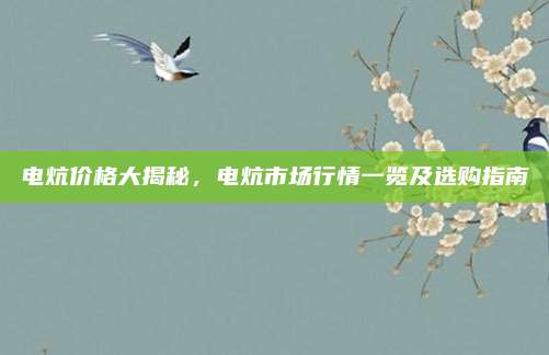 电炕价格大揭秘，电炕市场行情一览及选购指南