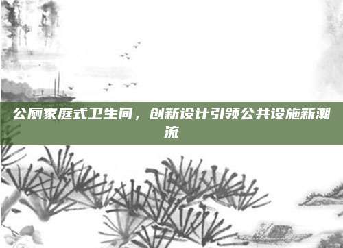 公厕家庭式卫生间，创新设计引领公共设施新潮流