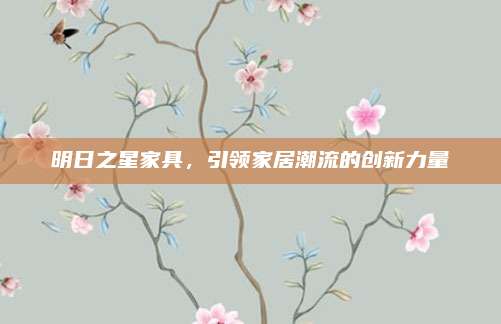 明日之星家具，引领家居潮流的创新力量