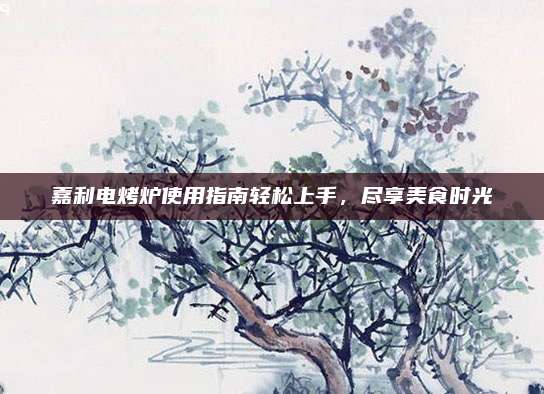 嘉利电烤炉使用指南轻松上手，尽享美食时光