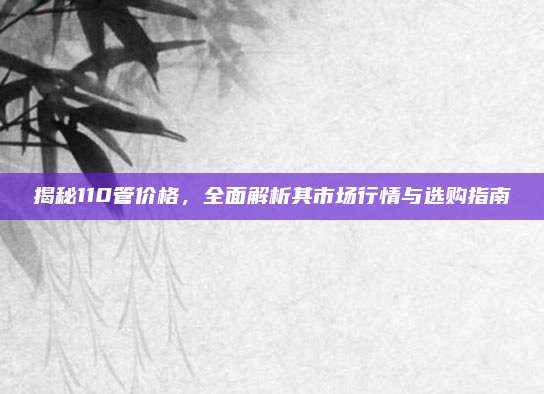 揭秘110管价格，全面解析其市场行情与选购指南