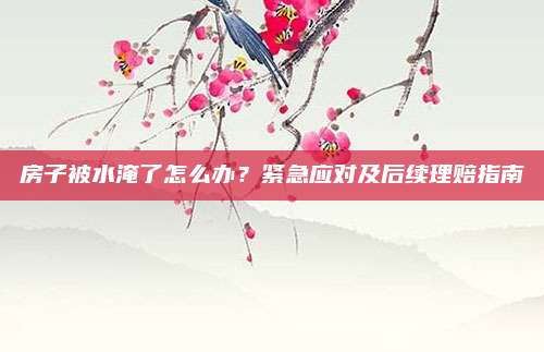 房子被水淹了怎么办？紧急应对及后续理赔指南