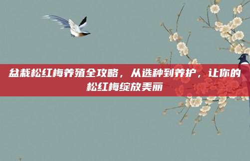 盆栽松红梅养殖全攻略，从选种到养护，让你的松红梅绽放美丽