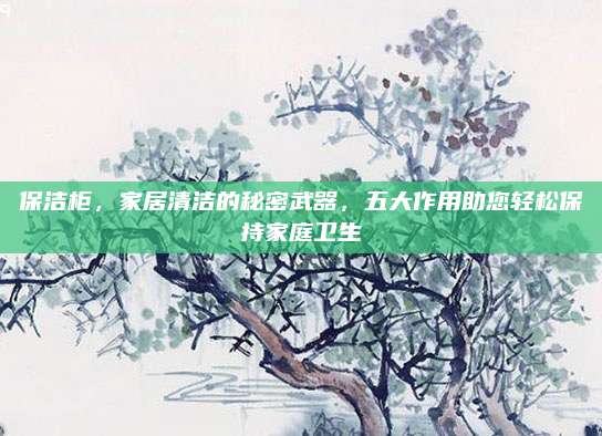 保洁柜，家居清洁的秘密武器，五大作用助您轻松保持家庭卫生