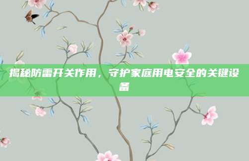 揭秘防雷开关作用，守护家庭用电安全的关键设备