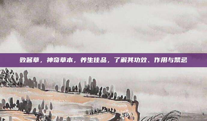 败酱草，神奇草本，养生佳品，了解其功效、作用与禁忌