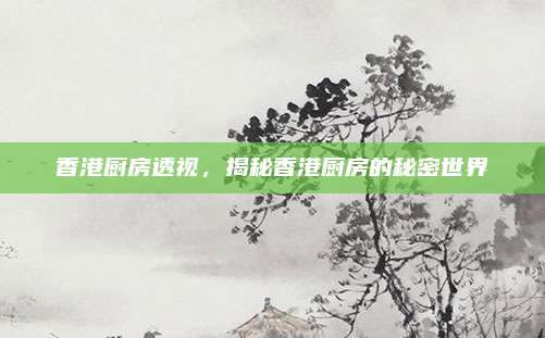 香港厨房透视，揭秘香港厨房的秘密世界