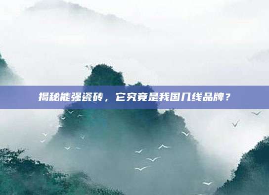 揭秘能强瓷砖，它究竟是我国几线品牌？