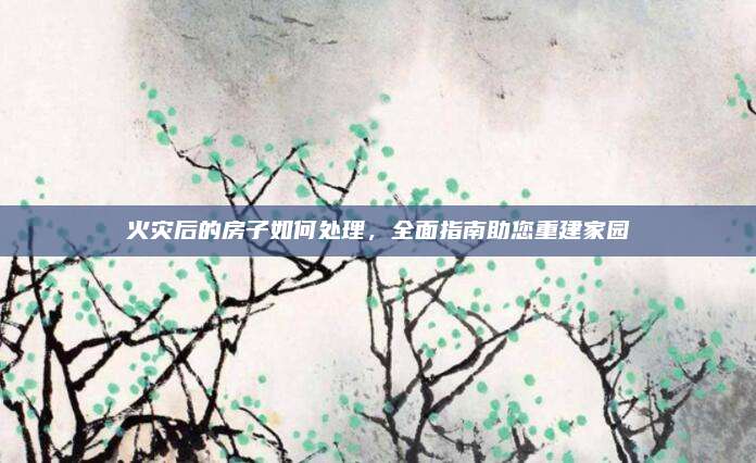 火灾后的房子如何处理，全面指南助您重建家园