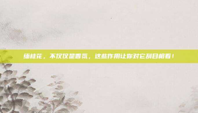 缅桂花，不仅仅是香氛，这些作用让你对它刮目相看！
