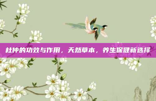 杜仲的功效与作用，天然草本，养生保健新选择