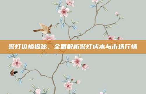 警灯价格揭秘，全面解析警灯成本与市场行情