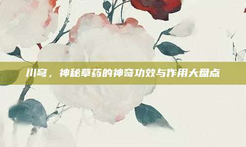 川穹，神秘草药的神奇功效与作用大盘点