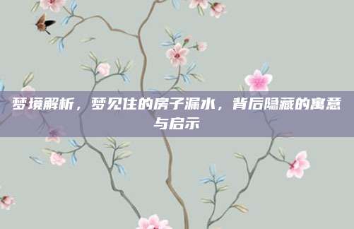 梦境解析，梦见住的房子漏水，背后隐藏的寓意与启示