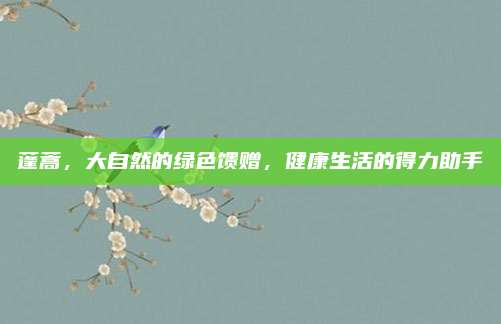 蓬蒿，大自然的绿色馈赠，健康生活的得力助手