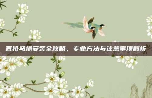 直排马桶安装全攻略，专业方法与注意事项解析