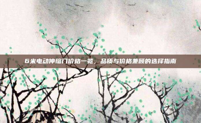 6米电动伸缩门价格一览，品质与价格兼顾的选择指南