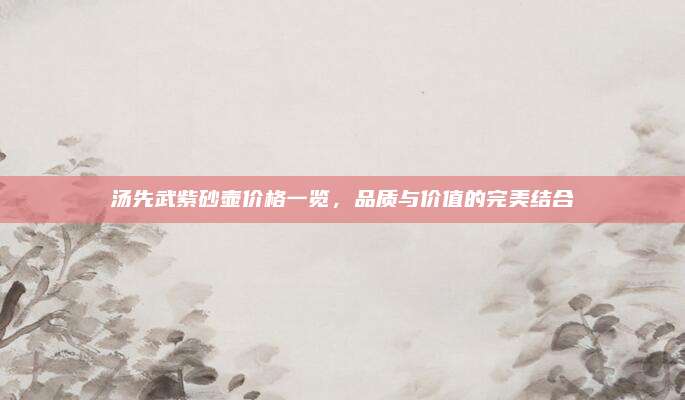 汤先武紫砂壶价格一览，品质与价值的完美结合