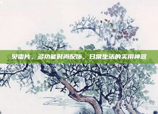 贝雷片，多功能时尚配饰，日常生活的实用神器