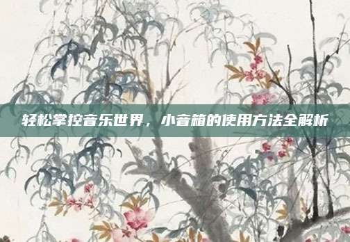 轻松掌控音乐世界，小音箱的使用方法全解析