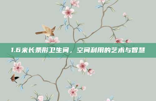 1.6米长条形卫生间，空间利用的艺术与智慧