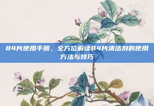 84片使用手册，全方位解读84片清洁剂的使用方法与技巧