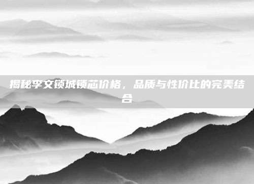 揭秘李文锁城锁芯价格，品质与性价比的完美结合