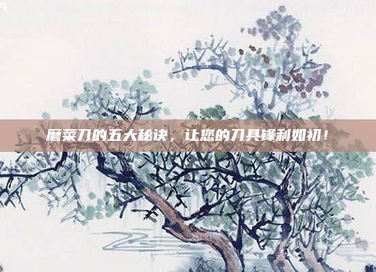 磨菜刀的五大秘诀，让您的刀具锋利如初！