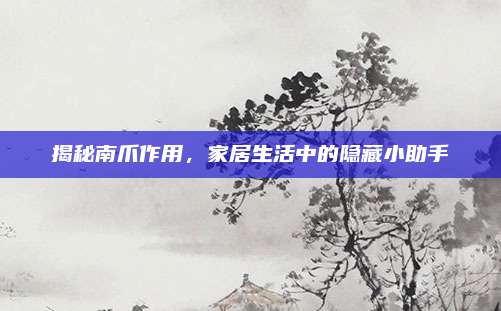 揭秘南爪作用，家居生活中的隐藏小助手