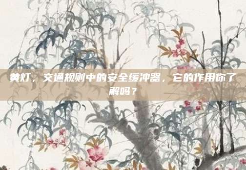 黄灯，交通规则中的安全缓冲器，它的作用你了解吗？