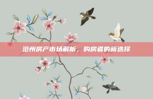 沧州房产市场解析，购房者的新选择