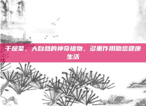千屈菜，大自然的神奇植物，多重作用助您健康生活