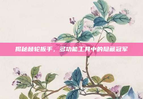 揭秘棘轮扳手，多功能工具中的隐藏冠军