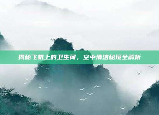 揭秘飞机上的卫生间，空中清洁秘境全解析