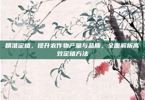 精准定植，提升农作物产量与品质，全面解析高效定植方法