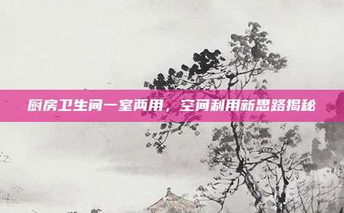 厨房卫生间一室两用，空间利用新思路揭秘
