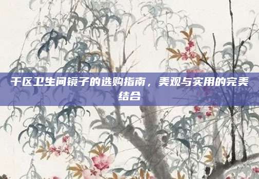 干区卫生间镜子的选购指南，美观与实用的完美结合
