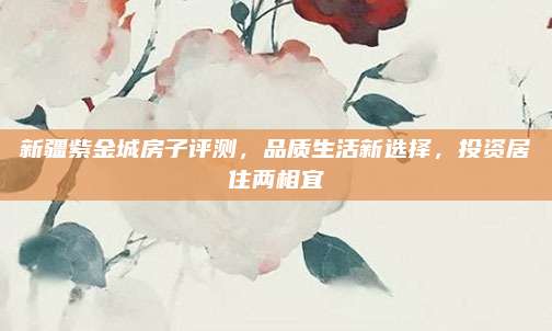 新疆紫金城房子评测，品质生活新选择，投资居住两相宜