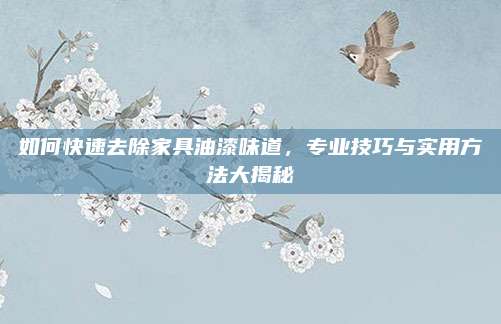 如何快速去除家具油漆味道，专业技巧与实用方法大揭秘