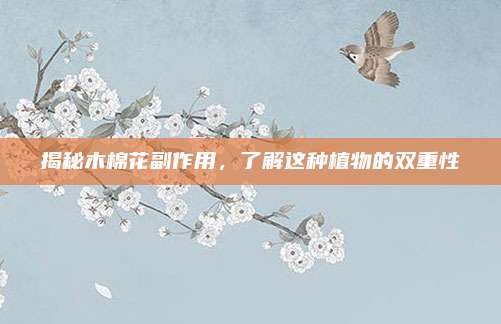 揭秘木棉花副作用，了解这种植物的双重性
