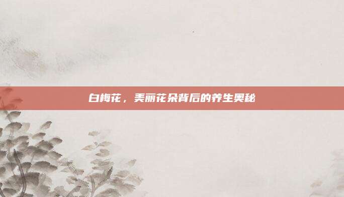 白梅花，美丽花朵背后的养生奥秘