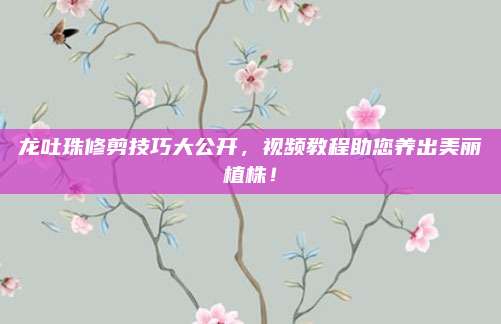 龙吐珠修剪技巧大公开，视频教程助您养出美丽植株！