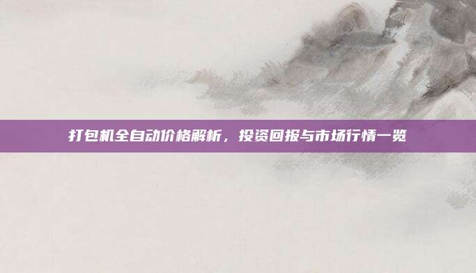 打包机全自动价格解析，投资回报与市场行情一览
