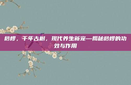 桫椤，千年古树，现代养生新宠—揭秘桫椤的功效与作用