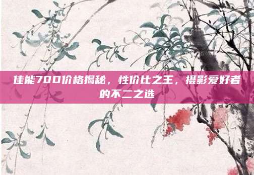 佳能70D价格揭秘，性价比之王，摄影爱好者的不二之选