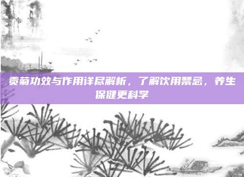 贡菊功效与作用详尽解析，了解饮用禁忌，养生保健更科学
